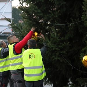 Okićen bor ispred Zagrebačke katedrale